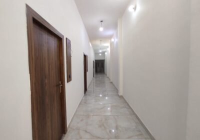 IMG-20241108-WA0338